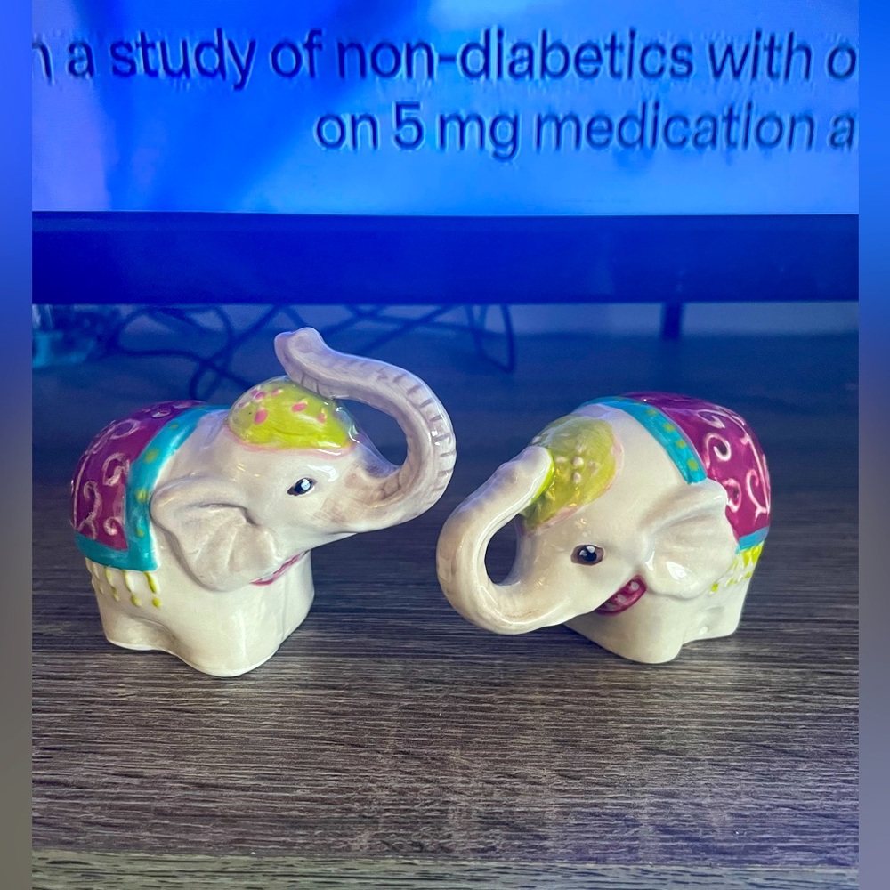 Elephant 🐘 Salt & Pepper Shakers!